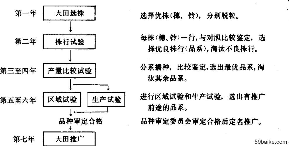 全基因组育种技术流程？（生猪育种软件）