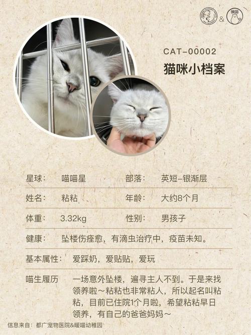 福州独生子女费发放通知？（领养猫福州）