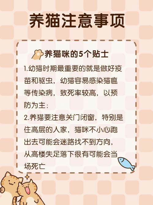 养猫准备事项？（0基础养猫）