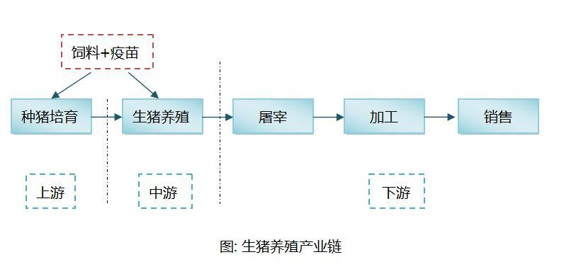 养牛的上下产业链？（生猪产业介绍）