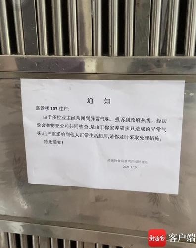 邻居养猫扰民怎么投诉？（小区养猫举报）