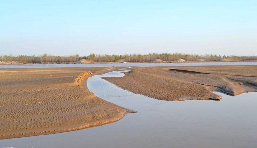 请问在山东菏泽这种平原地界适合养什么或者种植什么呢？（菏泽生猪政策）