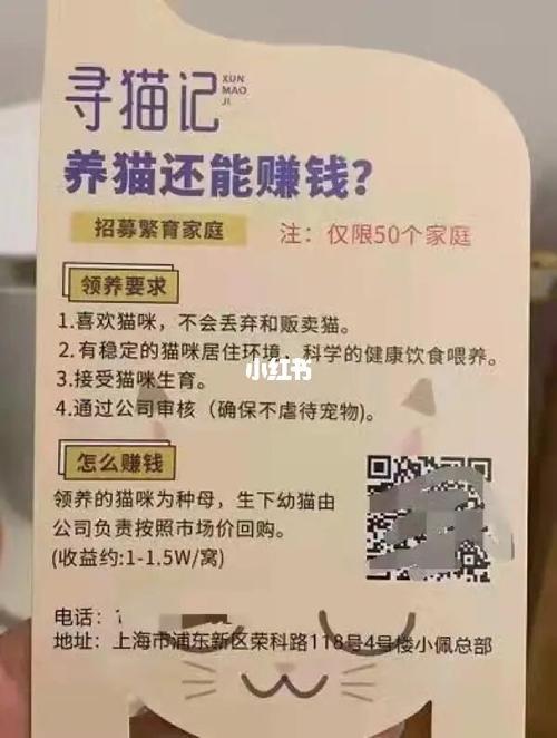 职业养猫挣钱吗？（养猫赚粉）