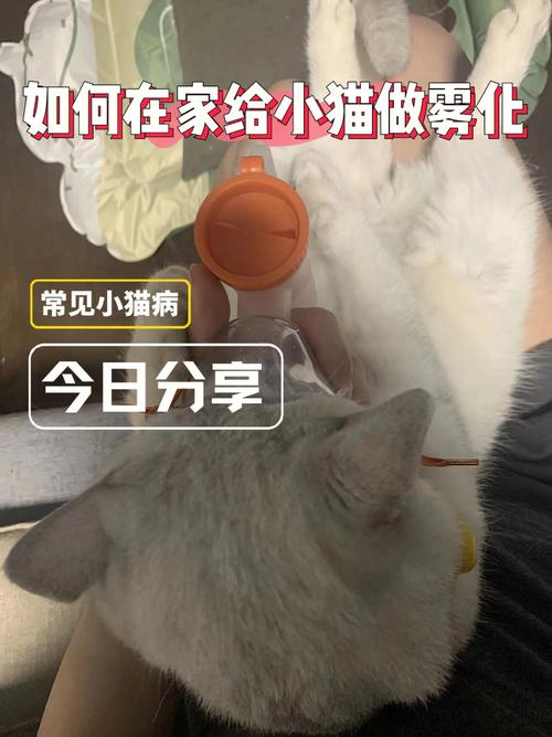 养猫后我的孩子连得两次肺炎，怎么办？（养猫不得肺炎）