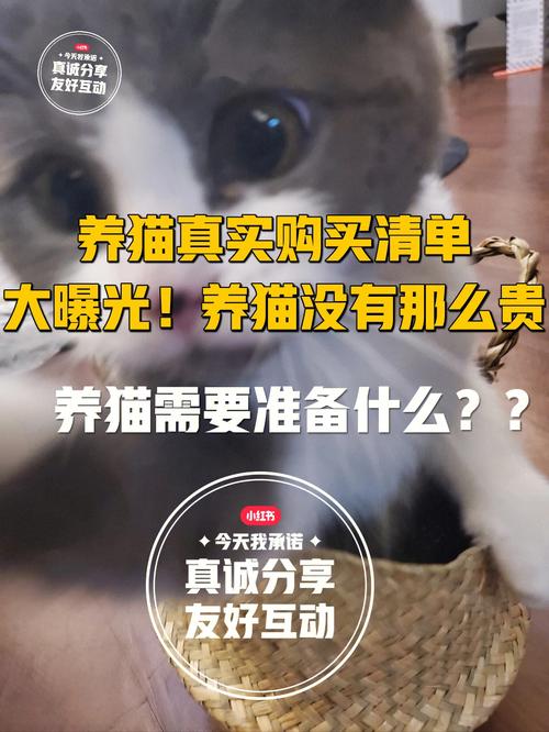 青岛市养猫管理条例？（付押金养猫）