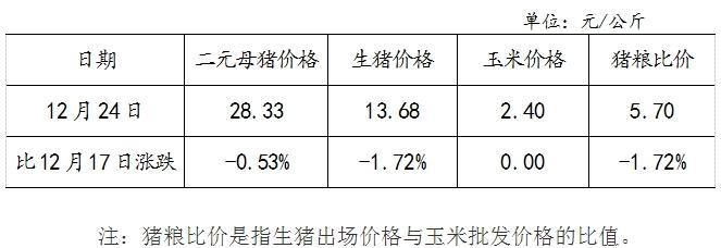 一直成年母猪多重？（明光生猪价格）