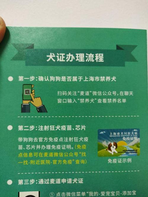 养犬登记证办理流程？（养狗证需要）