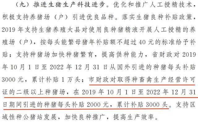 2023年养殖最新政策？（达州生猪种猪）