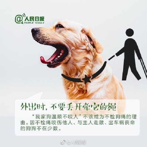 为什么中国好多养狗的人都不愿意给打狗狂犬疫苗？（养狗嫌闹心）