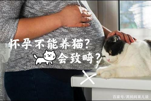 产妇可以养猫吗？（养猫身上有味）