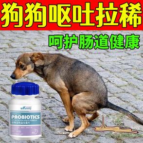 狗狗便秘吃什么药，狗狗便秘怎么办？（养狗用药篇）