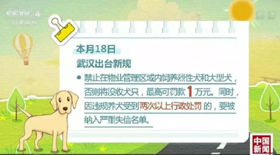 2021年禁养犬条令？（养26条狗）