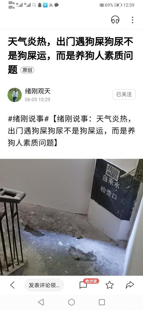 邻居养狗到处拉狗屎怎么办？（养狗怕狗屎）