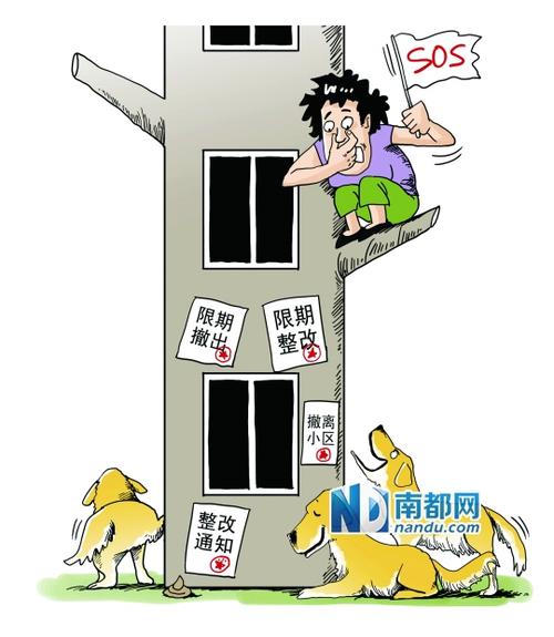 楼房住户养多条狗扰民怎么办？（想养多条狗）