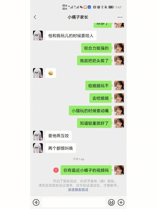 我是一个不能生育的女孩，28找个什么样的适合结婚呢？（陌陌领养猫）