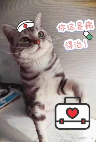 为什么医生不建议养猫？（做医生养猫）