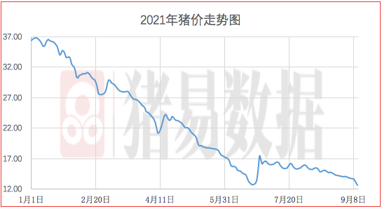 2023至2024年猪价行情预测？（如果生猪行情）