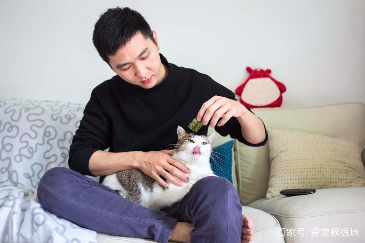 喜欢猫的男生性格特点？（养猫让人爱）