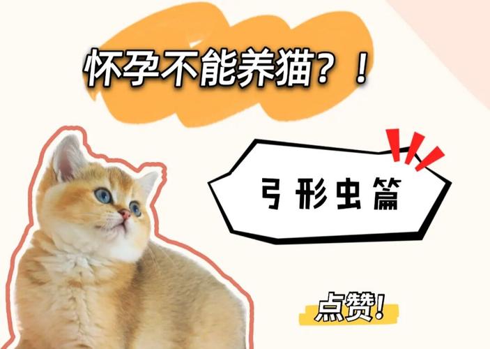 胎停跟猫咪有关吗？（怀孕养猫胎停）