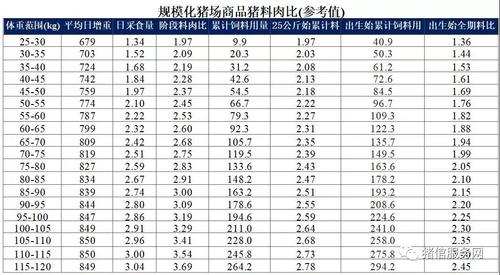 500头育肥猪利润计算？（生猪育肥利润）