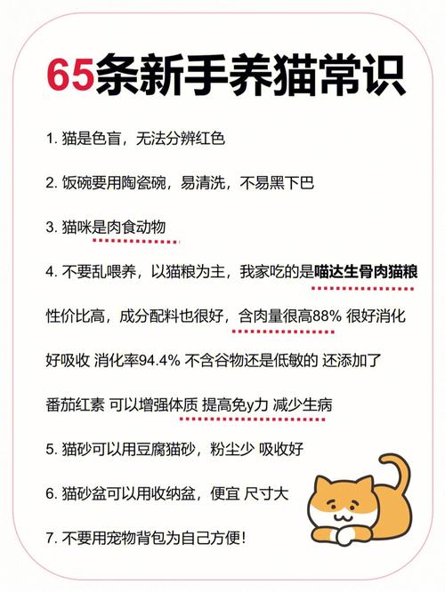 养猫方法？（养猫科学喂养）