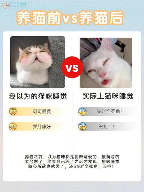 养猫啥意思网络用语？（养猫是什软件）