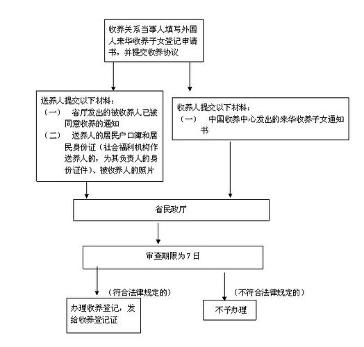 蚌埠出生证明办理流程？（蚌埠领养猫l）