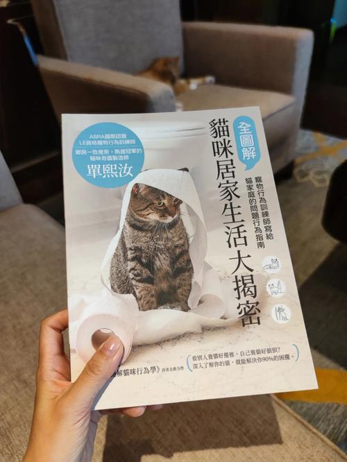 男人养猫代表什么？（科学养猫书）