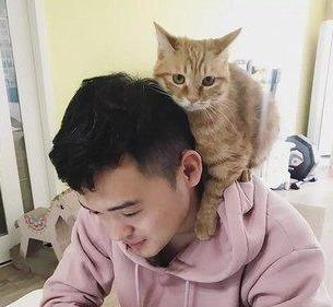 什么是猫系主播？（养猫的男主持）