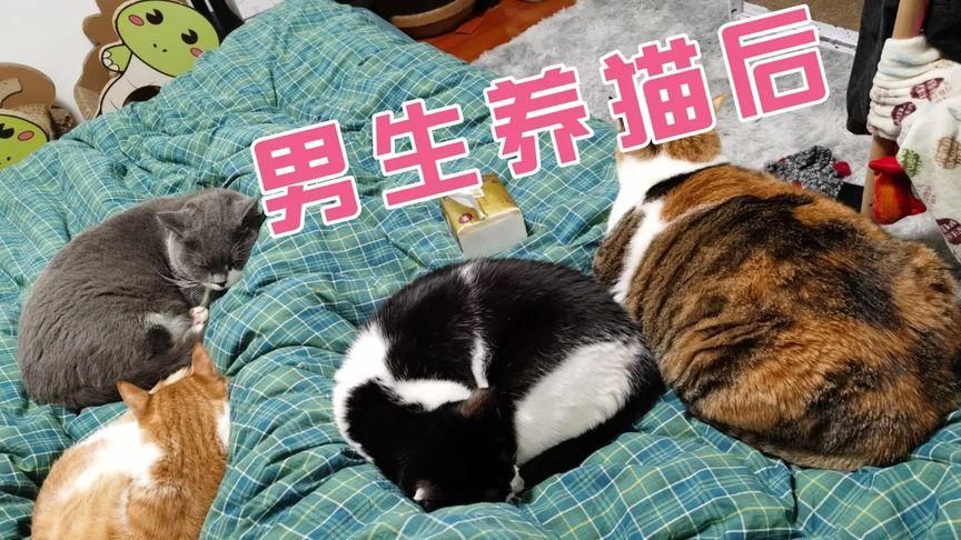 男不养猫啥意思啊？（行男不养猫）