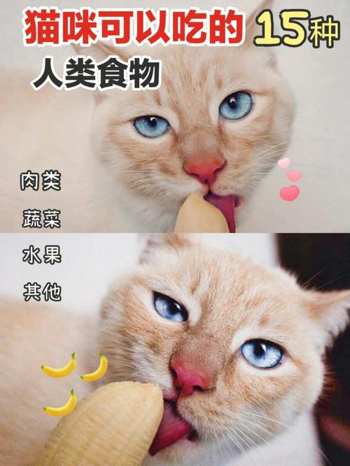 猫最爱吃什么？（我靠美食养猫）