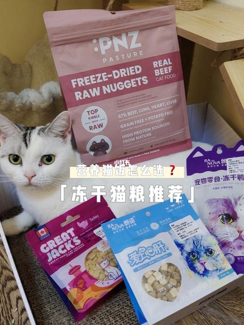 one猫粮咋样？（养猫营养片）