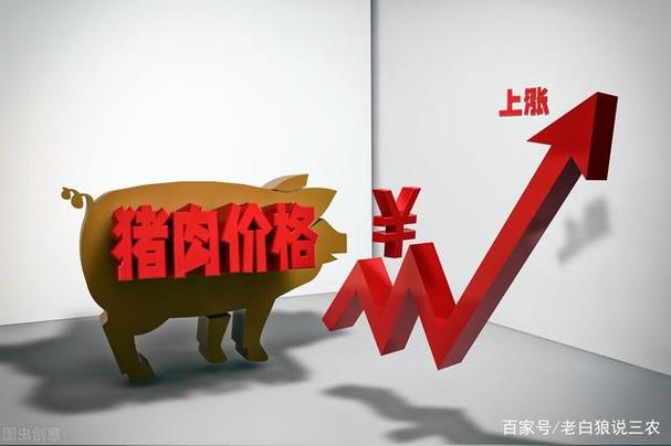 深圳猪肉价格为什么降不下来？（深圳生猪行情）