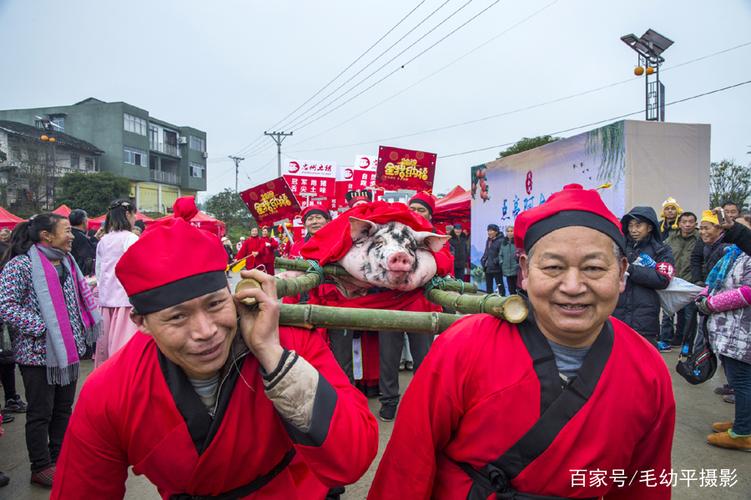 衢州民俗文化活动？（衢州生猪供应）