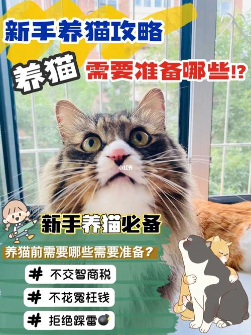 职业养猫挣钱吗？（天天养猫赚钱）