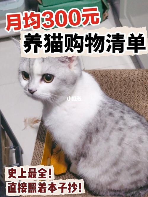 养猫一年的花销有多少？（每天养猫咪）