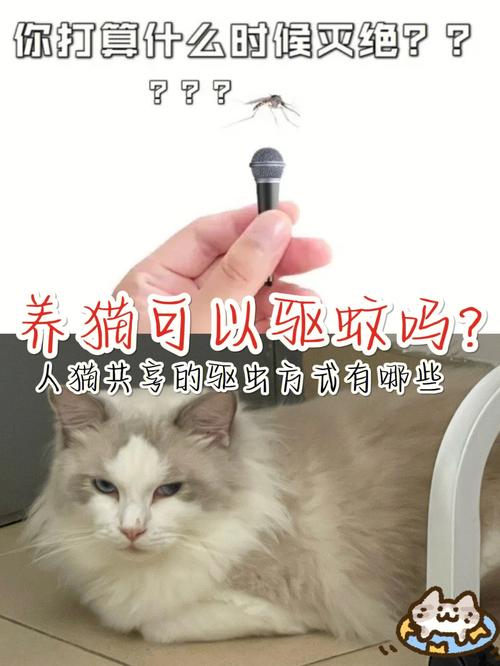 家庭猫咪可以使用哪种蚊香液？（灭蚊灯养猫）