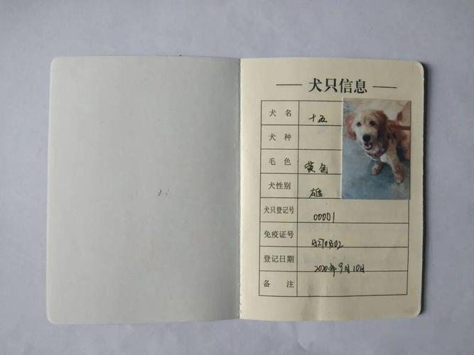 养犬证要狗狗多大才可以办理？（男孩几岁养狗）