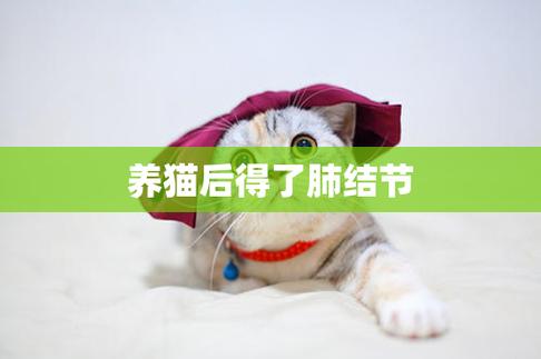 小猫失声怎么回事？（养猫和肺结节）