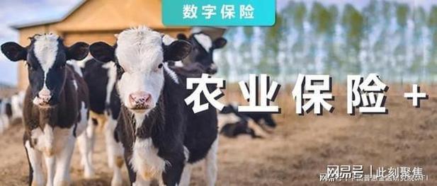 2022农业保险新规？（生猪保险承保）