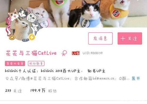 人工养猫的正确方法？（B站养猫礼包）