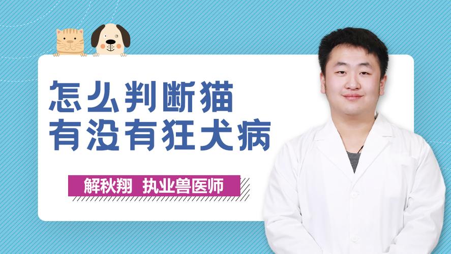 家养的猫会患狂犬病吗？（养宠物养猫的）