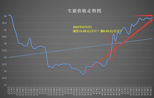 屠宰场盈利模式？（生猪中介收费）