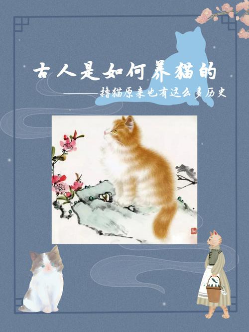 古代有人养猫吗？（原来养猫后）