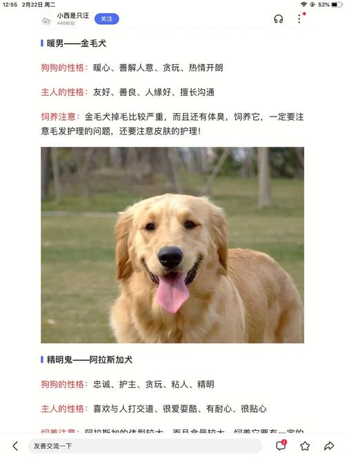 保持模式和爱犬模式区别？（屏幕怎么养狗）