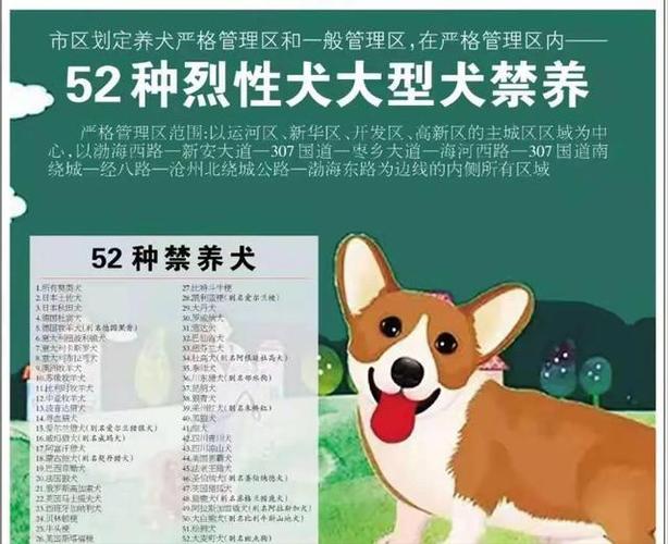 北京市区让养大型犬吗？（北京养狗禁令）