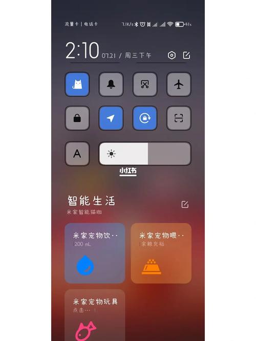 miui 14宠物猫怎么设置？（黄喵喵养猫）