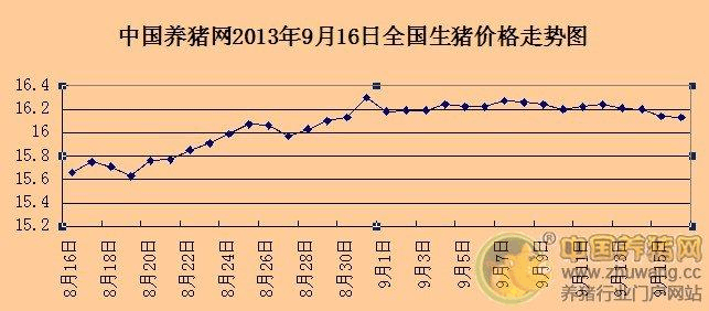 淄博肉为什么便宜？（张店生猪价格）