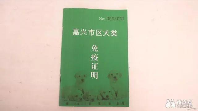 外地的犬证在嘉兴可以用吗？（嘉兴女养狗）