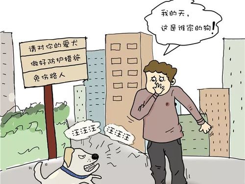 养狗扰民有什么忌讳？（养狗说的话）